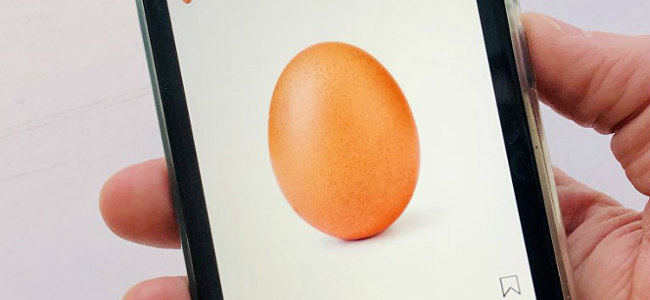 БК "Олимп" начала принимать ставки на лайки под фотографией яйца в Инстаграме