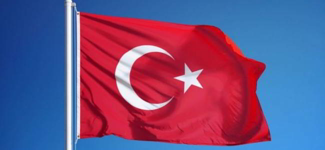 Турецкие правоохранители в результате облавы задержали сотни нелегальных букмекеров