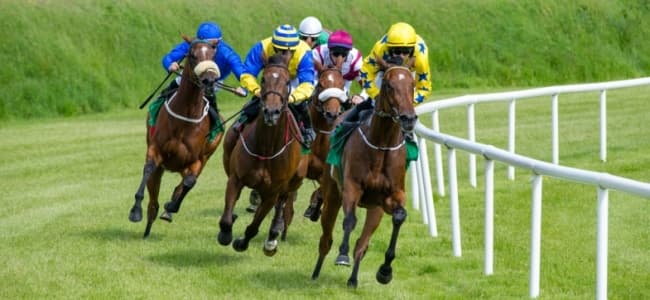 БК "Спортиум" объявила о запуске своего канала лошадиных бегов